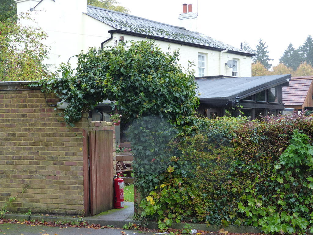 The Sun Inn Englefield Green Kültér fotó